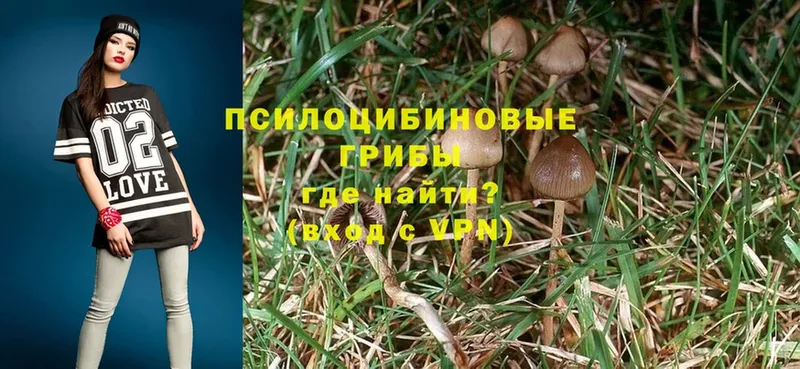 Псилоцибиновые грибы Magic Shrooms  Губаха 